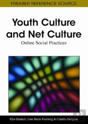 Youth Culture And Net Culture