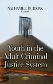 Youth In The Adult Criminal Justice System