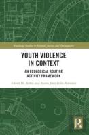 Youth Violence In Context