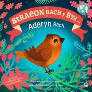 Yr Aderyn Bach / The Little Bird (Cyfres Straeon Bach Y Byd)
