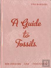 Yto Barrada - A Guide to Fossils for Forgers and Foreigners