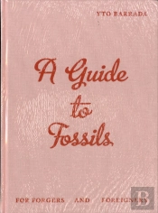 Yto Barrada - A Guide to Fossils for Forgers and Foreigners