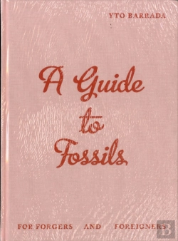 Bertrand.pt - Yto Barrada - A Guide to Fossils for Forgers and Foreigners