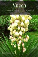Yucca