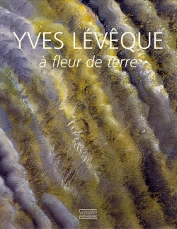 Bertrand.pt - Yves Lévêque À Fleur De Terre 1962-2007 ; Quarante-Cinq Ans De Peinture