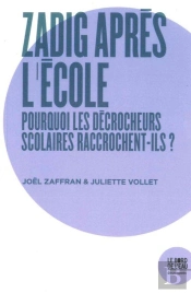 Zadig Après L'École ; Pourquoi Les Décrocheurs Scolaires Retournent En Formation