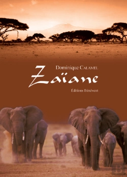 Bertrand.pt - Zaïane