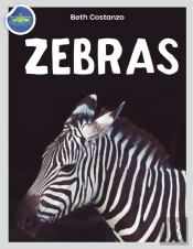 Zebra Activity Workbook Ages 4-8