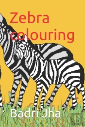 Zebra Colouring