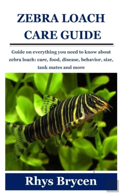 Bertrand.pt - Zebra Loach Care Guide