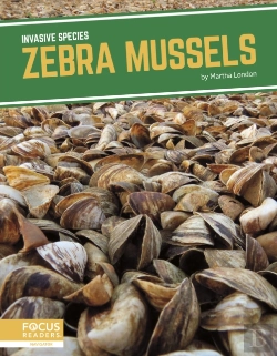Bertrand.pt - Zebra Mussels