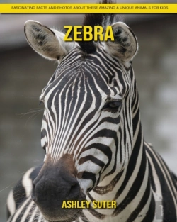 Bertrand.pt - Zebra