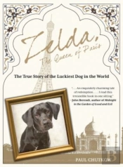 Zelda, The Queen Of Paris