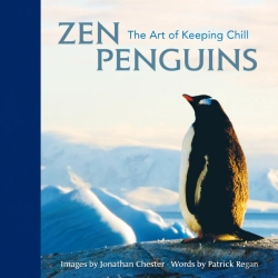 Bertrand.pt - Zen Penguins