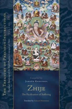 Bertrand.pt - Zhije: The Pacification Of Suffering