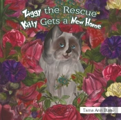 Ziggy The Rescue Kitty Gets A New Home