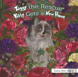 Bertrand.pt - Ziggy The Rescue Kitty Gets A New Home