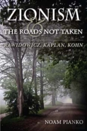 Zionism And The Roads Not Taken