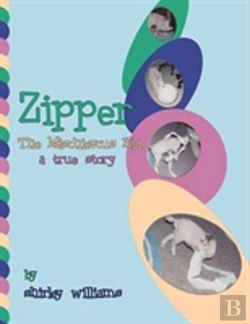Bertrand.pt - Zipper - The Mischievous Kid