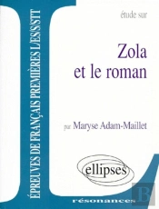 Zola Et Le Roman