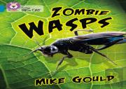 Zombie Wasps