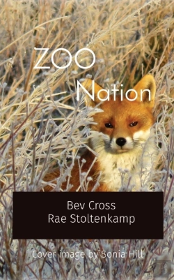 Bertrand.pt - Zoo       Nation