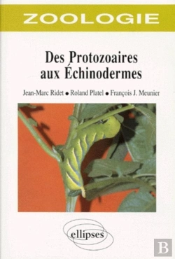 Bertrand.pt - Zoologie Des Protozoaires Aux Échinodermes