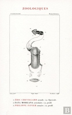 Bertrand.pt - Zoologiques