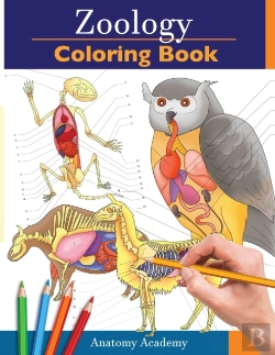 Bertrand.pt - Zoology Coloring Book