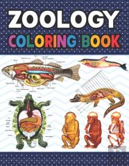 Zoology Coloring Book