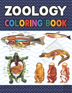 Bertrand.pt - Zoology Coloring Book
