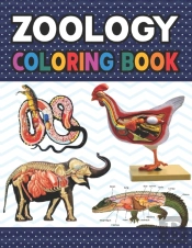 Zoology Coloring Book