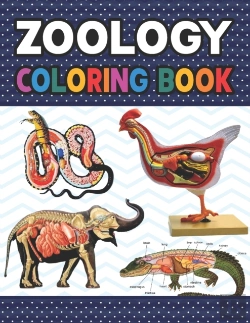 Bertrand.pt - Zoology Coloring Book