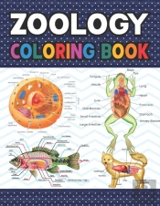 Zoology Coloring Book