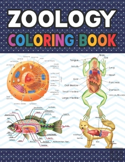 Bertrand.pt - Zoology Coloring Book