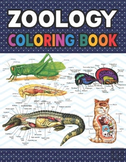 Bertrand.pt - Zoology Coloring Book