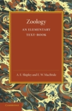 Bertrand.pt - Zoology