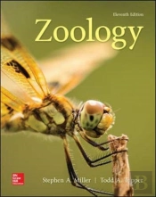 Zoology