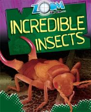 Zoom In On: Incredible Insects