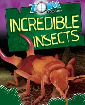 Zoom In On: Incredible Insects