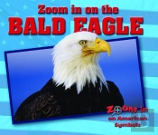 Zoom In On The Bald Eagle