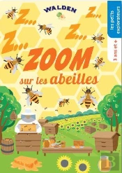 Zoom Sur Les Abeilles