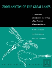 Zooplankton Of The Great Lakes
