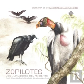 Zopilotes, Los Limpiadores Del Ambiente