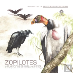 Bertrand.pt - Zopilotes, Los Limpiadores Del Ambiente