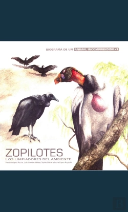 Bertrand.pt - Zopilotes