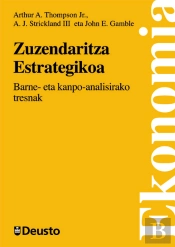 Zuzendaritza Estrategikoa