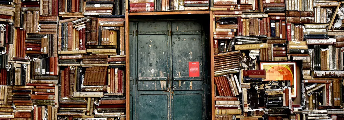 blogue-somos-livros-acumuladores-livros-artigo