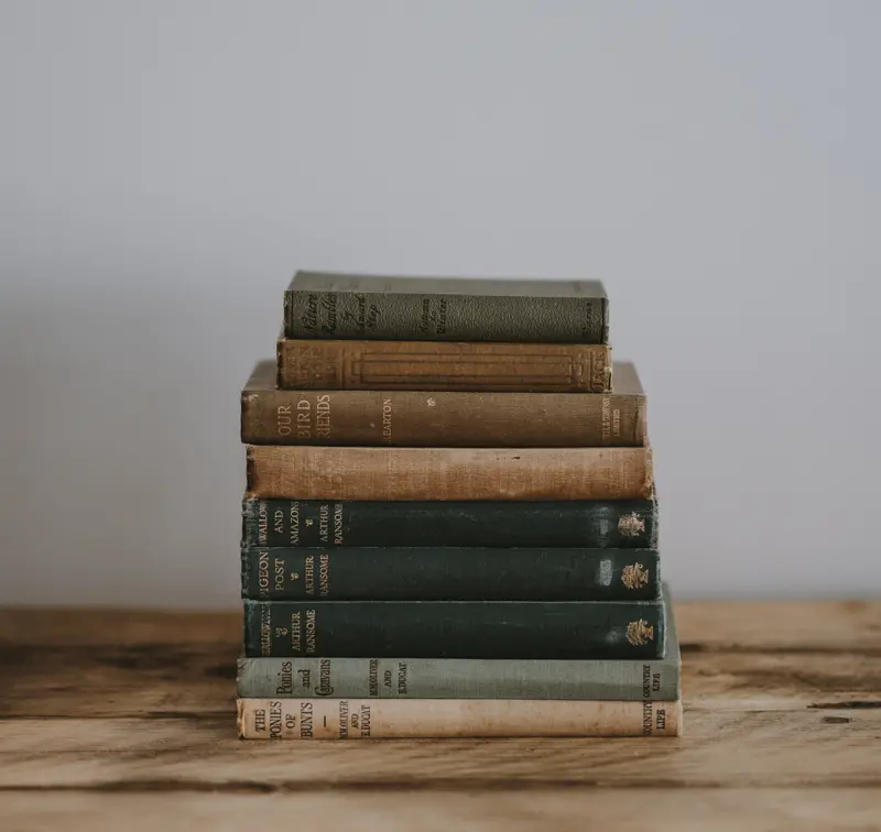 \blogue-somos-livros-fernando-namora01.png