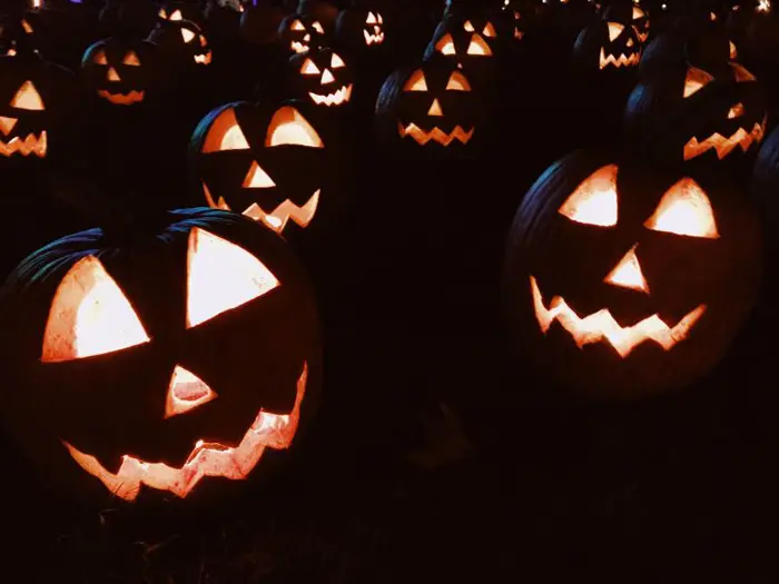 blogue-somos-livros-halloween